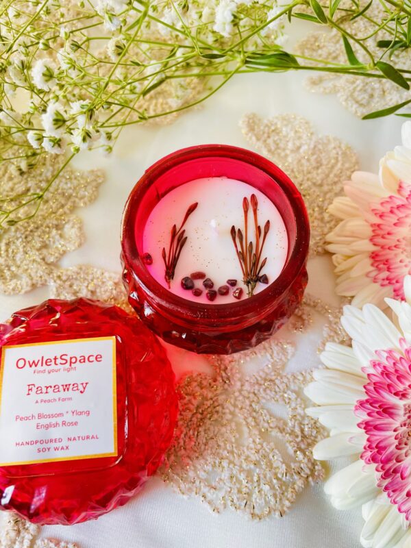 Faraway | Peach n English Rose