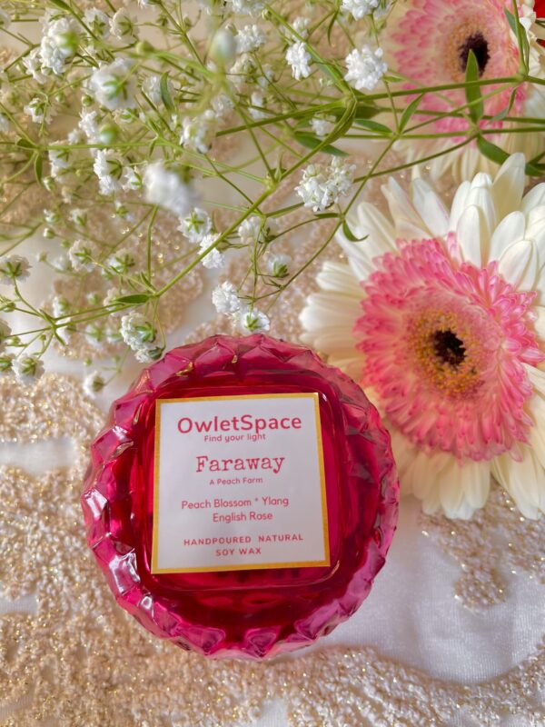 Faraway | Peach n English Rose - Image 2